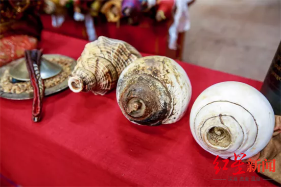 俄支寺收藏的白海螺